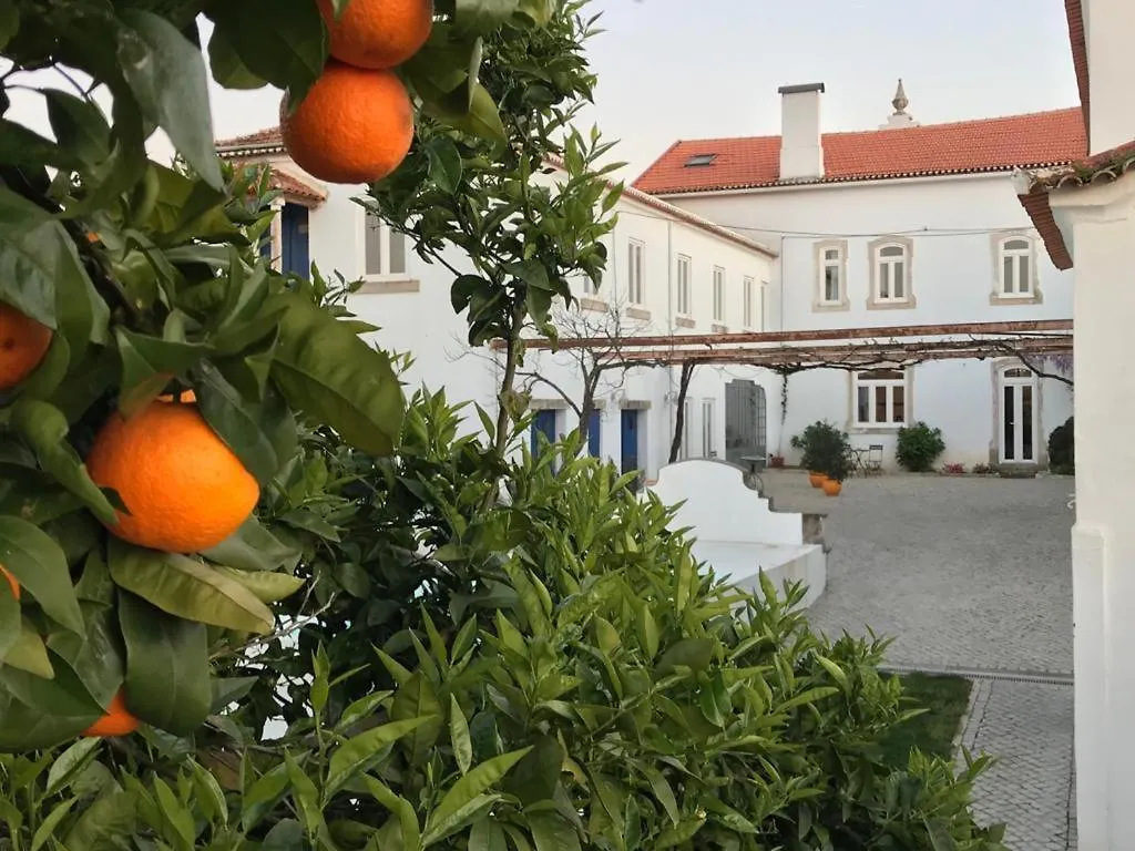 Oryza Guest House& Suites Coimbra Portugal