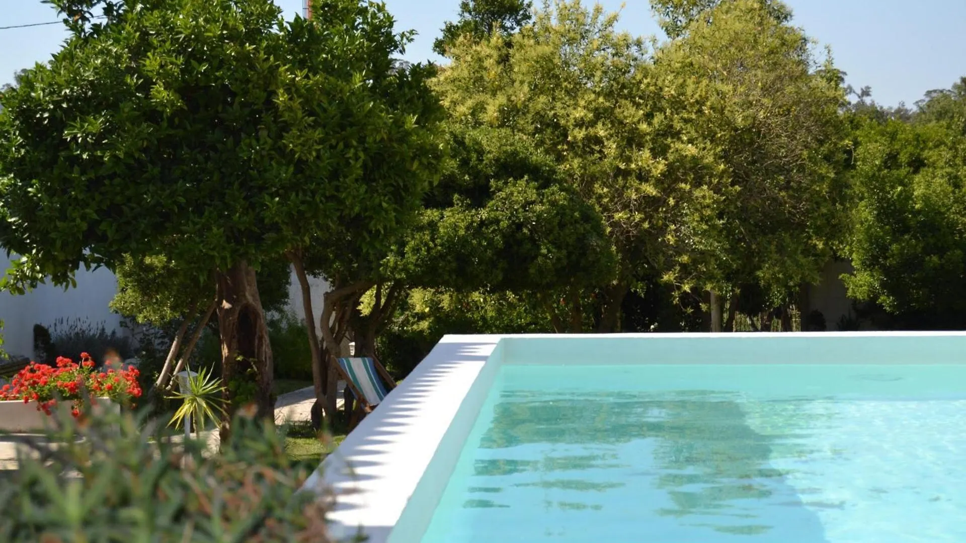 Oryza Guest House& Suites Coimbra Portugal